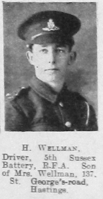 H Wellman